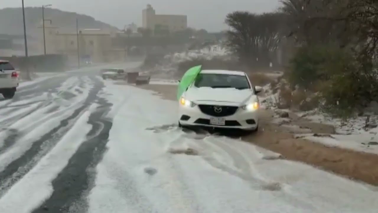 بردية تاريخية في ابها غرزت السيارات في البرد السعودية