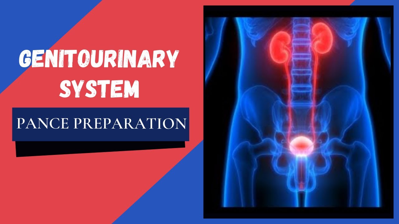 Genitourinary System: PANCE Preparation