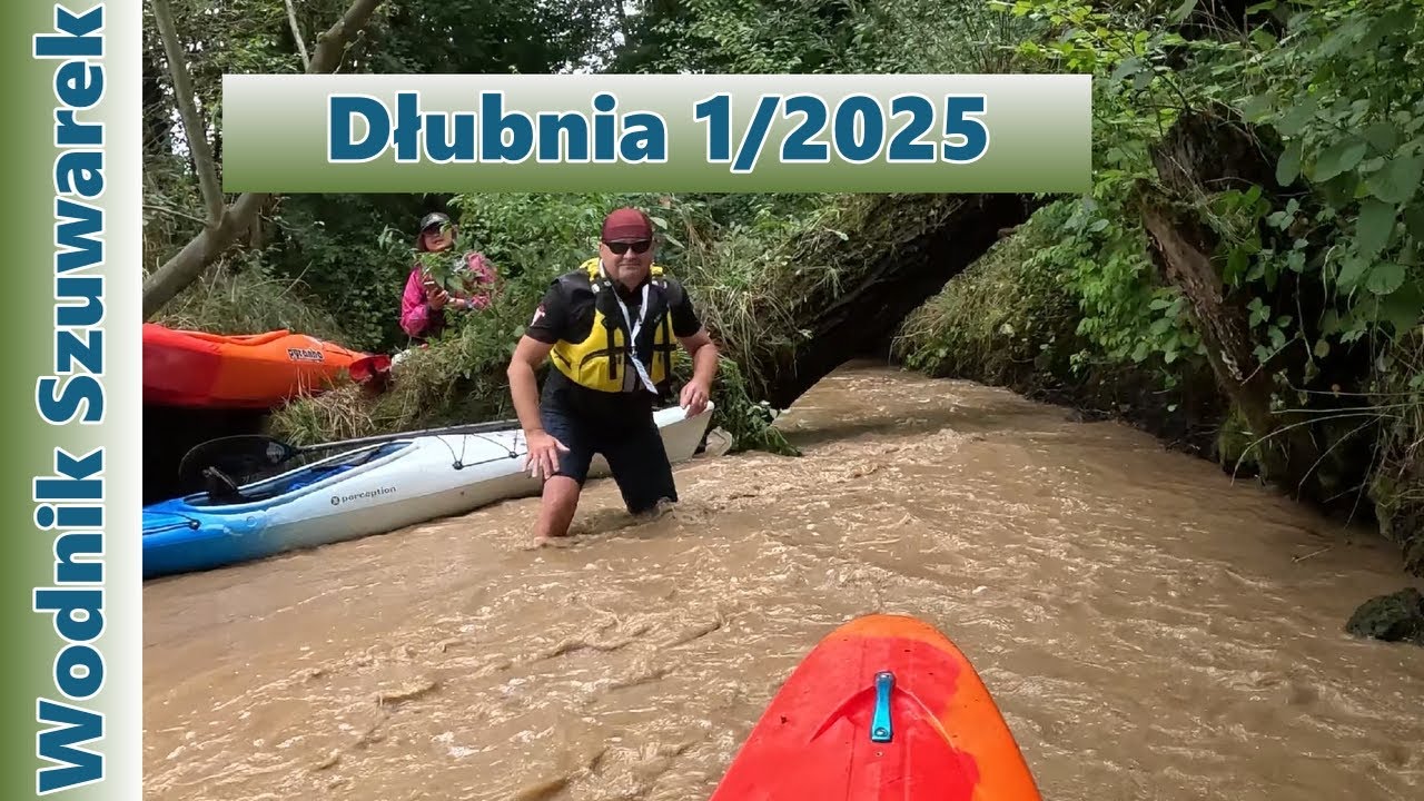 Wodnik Szuwarek wraca na rzekę Dłubnia pod Krakowem 1/2025!