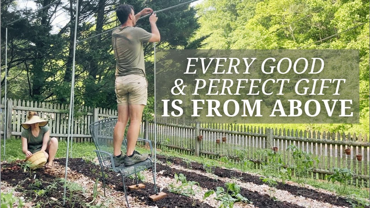 Homemaker Simple Living Vlog  |  When God Provides