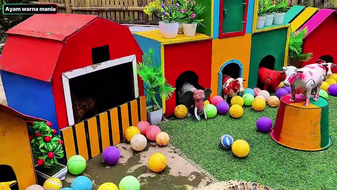 Ayam warna warni, Ayam Pelangi, Kelinci, Bebek, Sapi, dan Hewan Lucu Lainnya