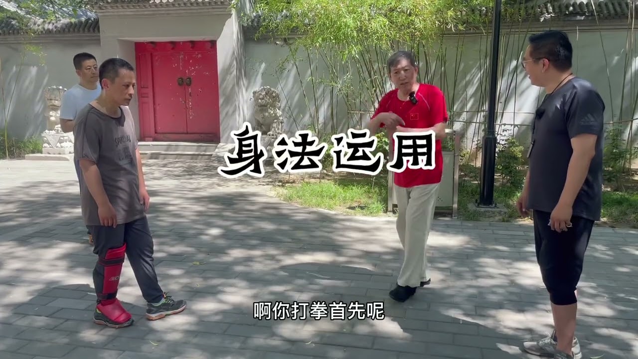 龙寻真—棉张拳（1）