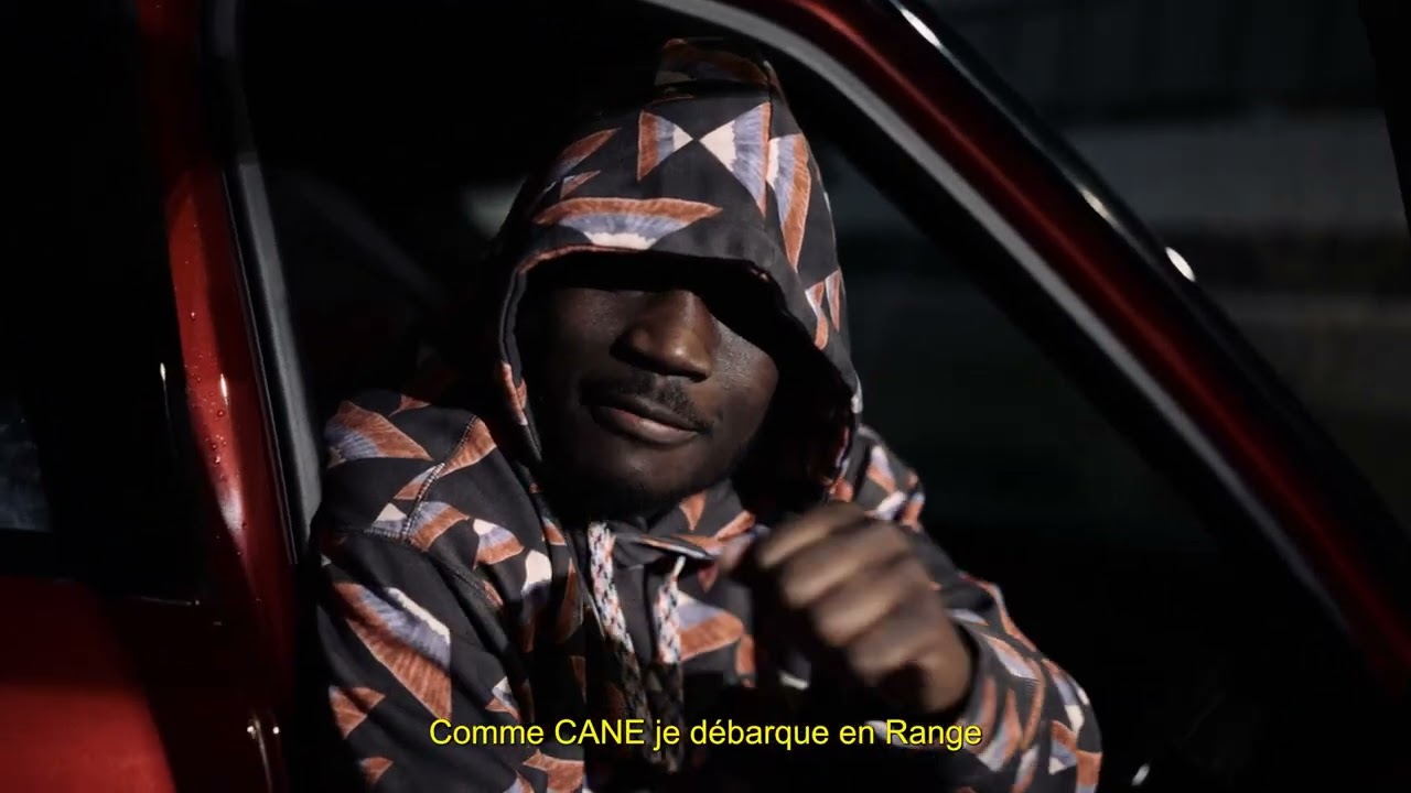 Requin - CANE#2