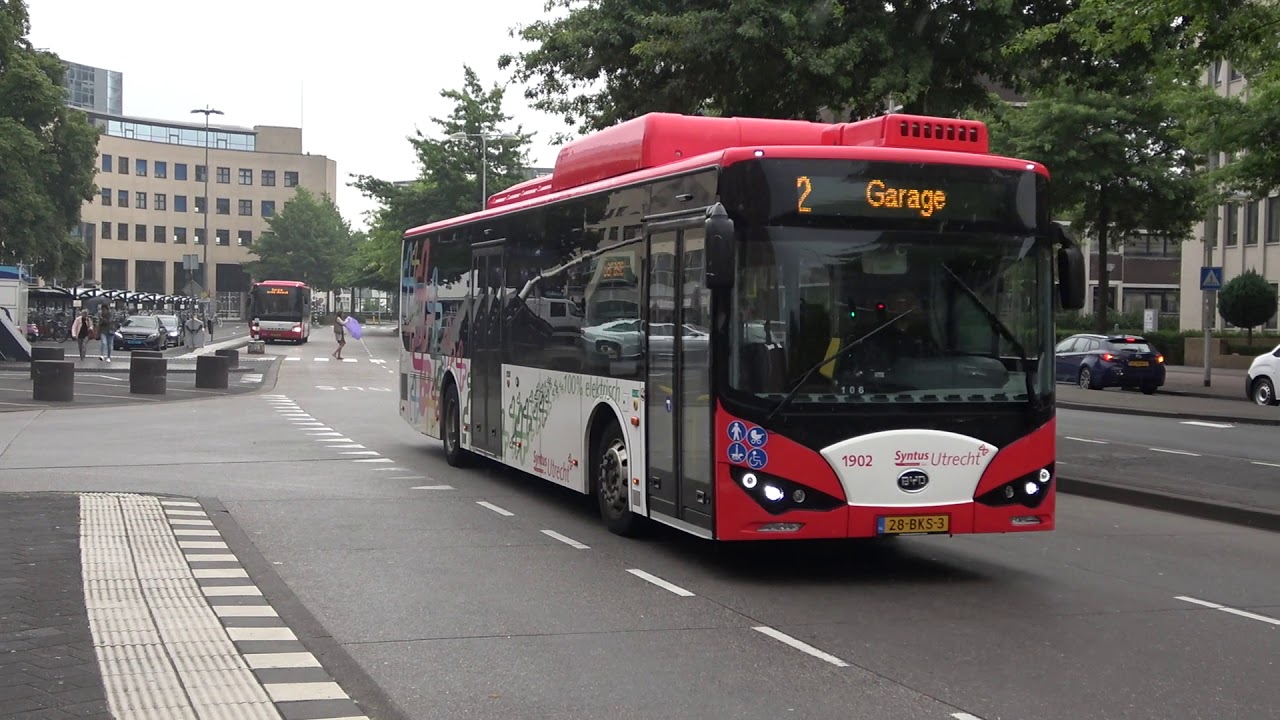 BYD Electric buses in The Netherlands