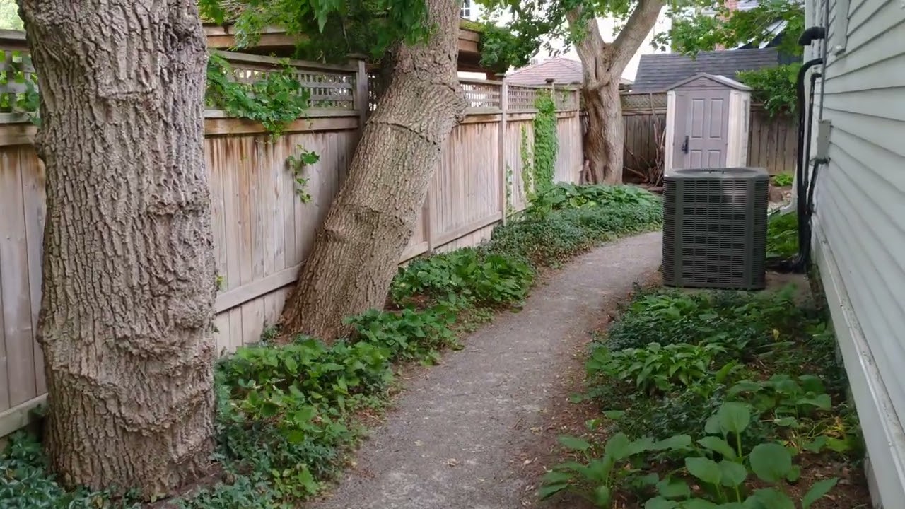 Garden Tour (Thornhill Village Library Garden) - Markham, Ontario, Canada - July 2022