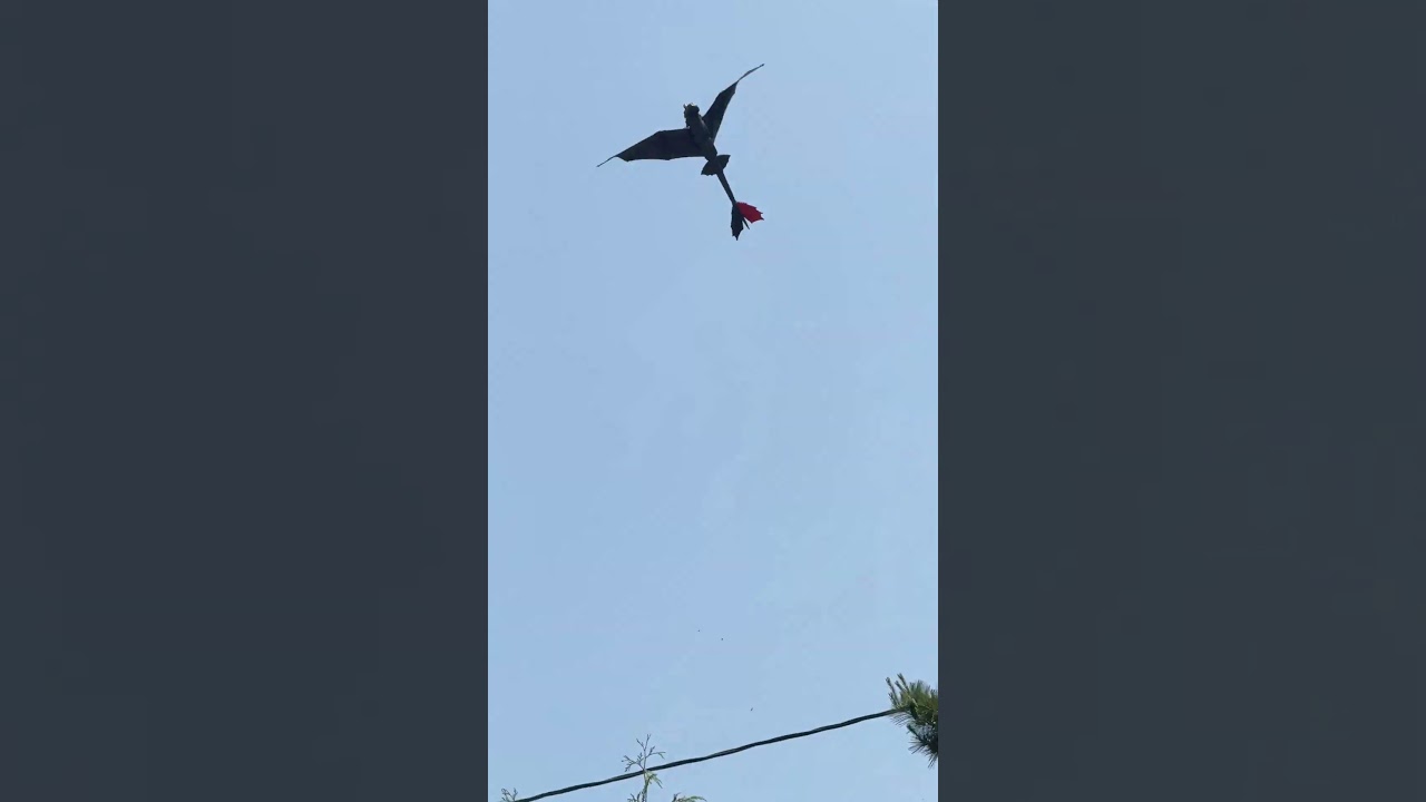 A REAL DRAGON