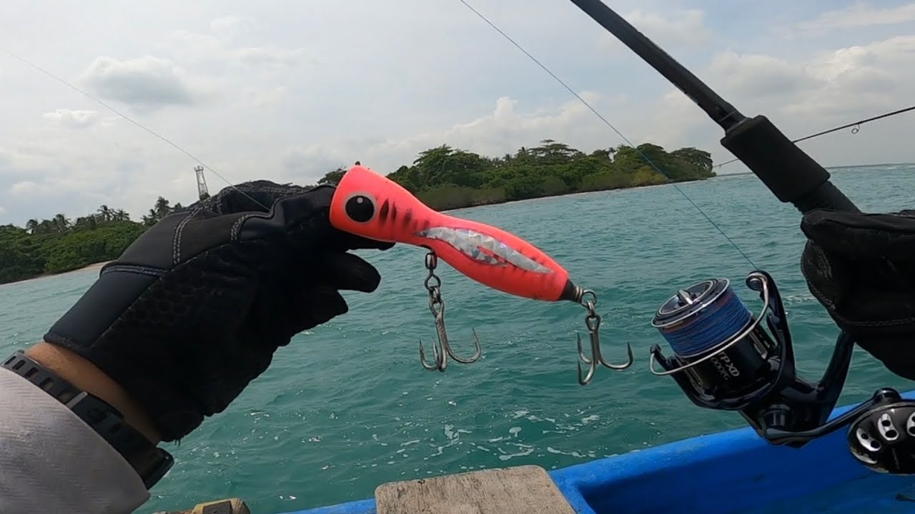 Tarikan Kuat Monster Giant Trevaly ‼️ Spot Poping Pulau Mundu ‼️