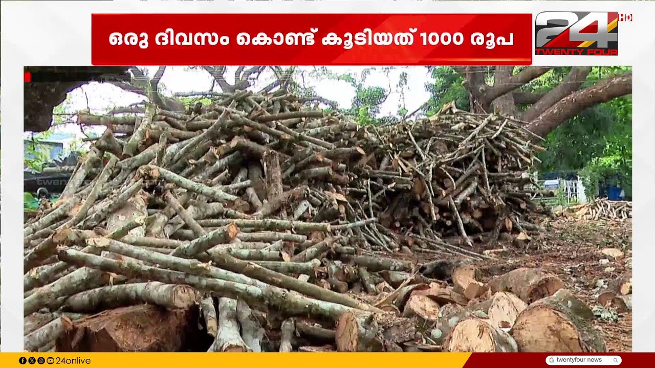 ആവശ്യക്കാർ കൂടി വിറകിന് പൊള്ളും വില; ഒരുദിവസം കൊണ്ട് കൂടിയത് 1000 രൂപ