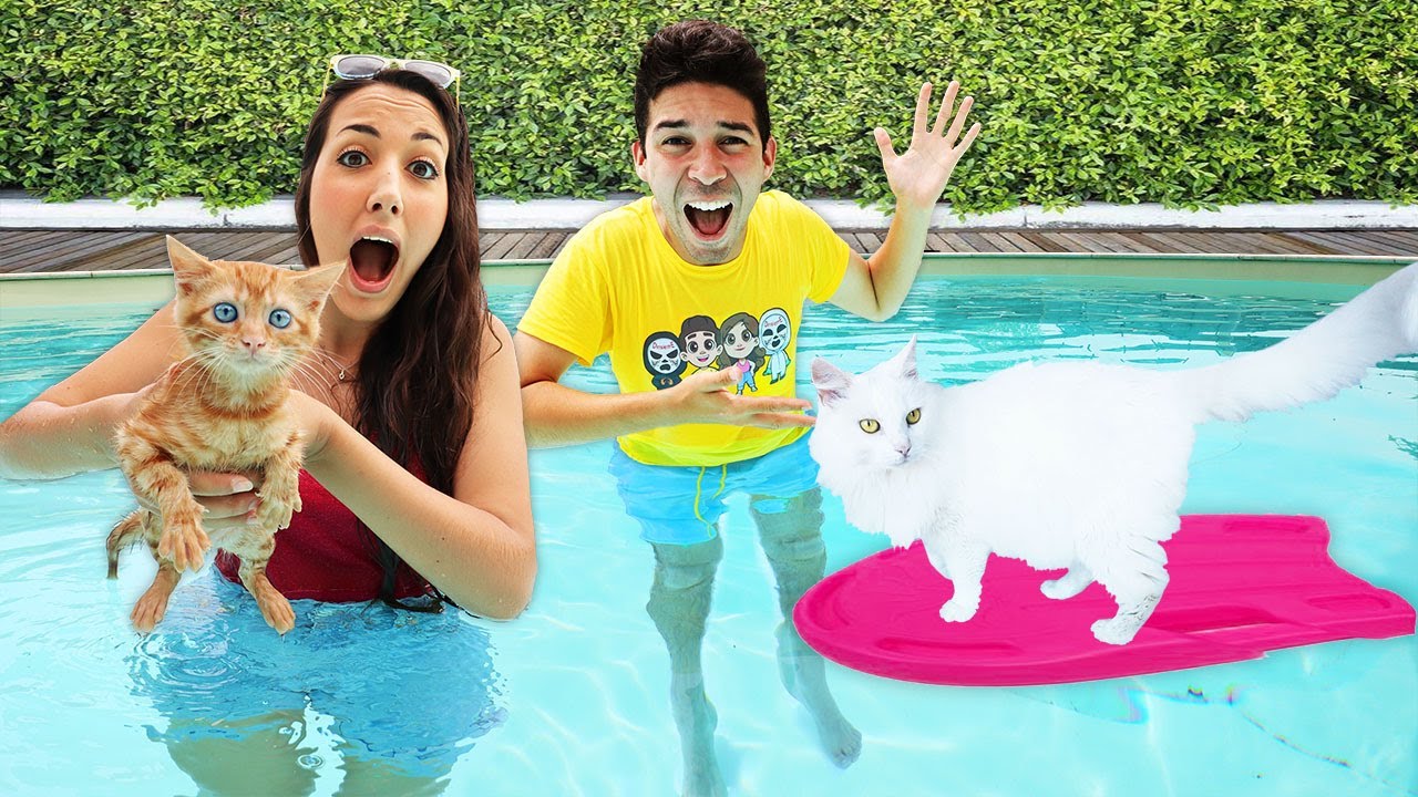 I NOSTRI CUCCIOLI FANNO IL BAGNO IN PISCINA PER LA PRIMA VOLTA! *gatti in acqua*