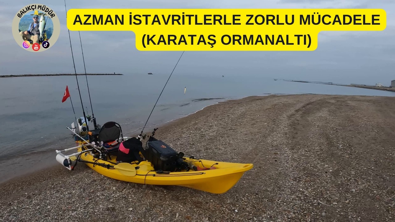 AZMAN İSTAVRİTLERLE ZORLU MÜCADELE / KARATAŞ ORMANALTI