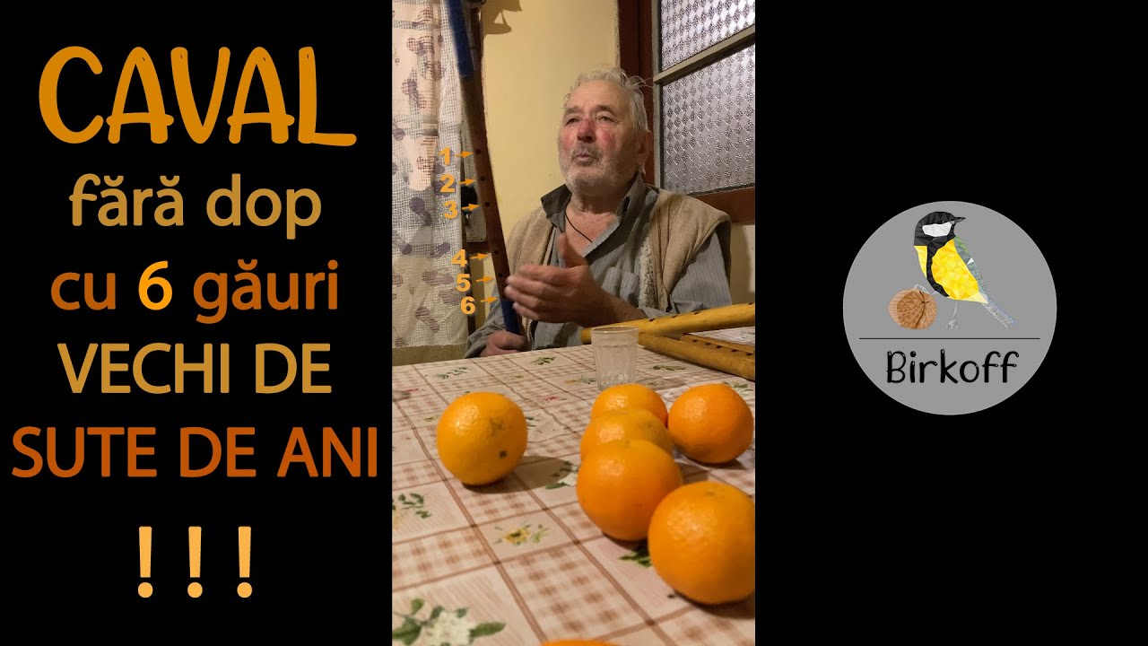 Caval vechi de sute de ani, cu 6 găuri și fără dop