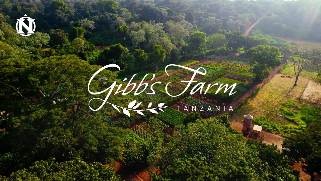Welcome to Gibb's Farm—Tanzania