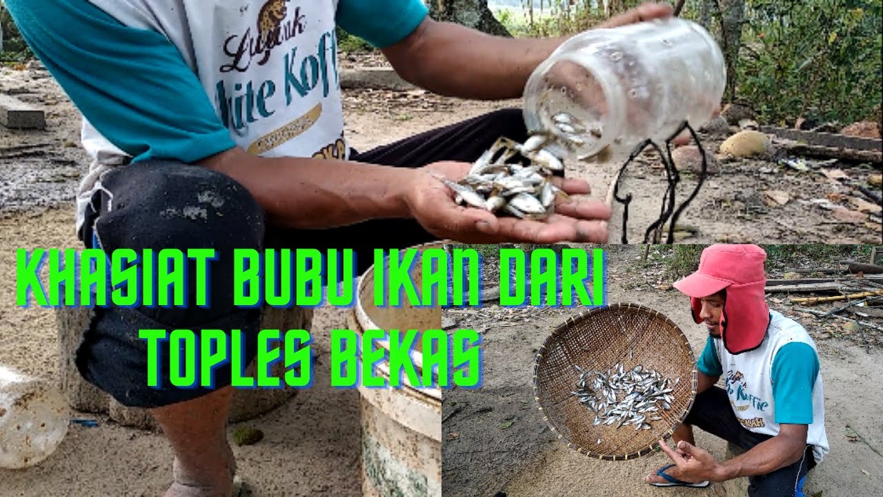 Memasang Perangkap Ikan Dari Toples Bekas... !!!