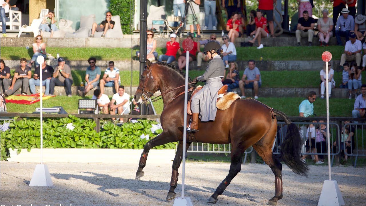 World championship of working equitation- Maneability- Lara e Endiabrado