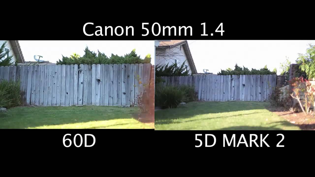 5D vs. 60D sensor comparison