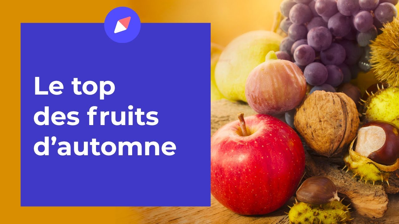 Le top des fruits de l’automne - Coaching Nutrition