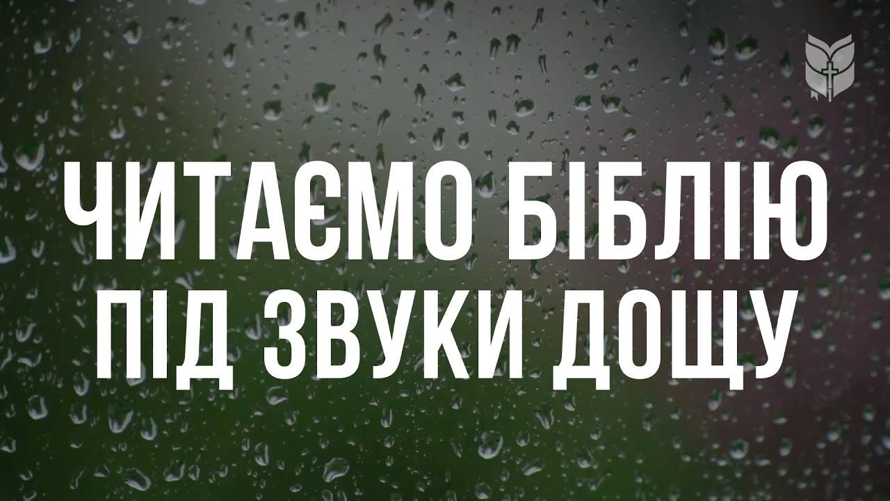 Читаємо Біблію під звуки дощу #biblevision #біблія