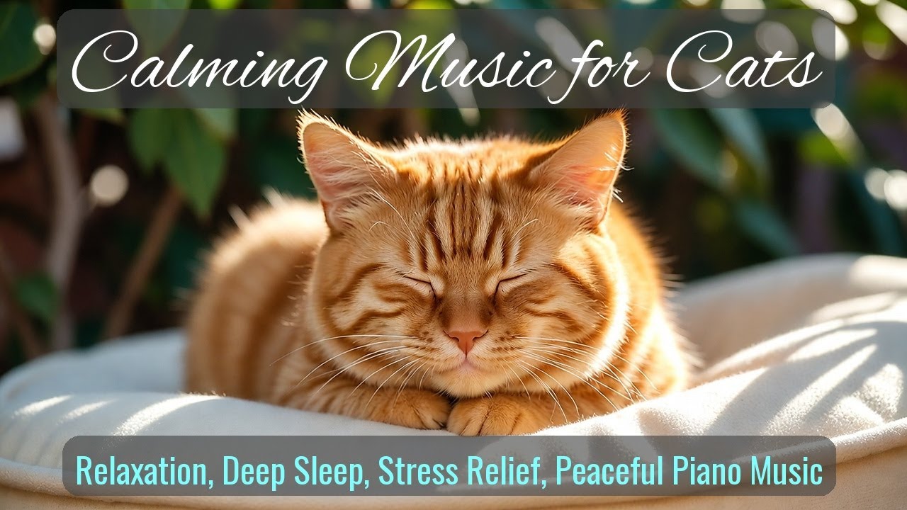 Calming Music for Cats - Relaxation, Deep Sleep, Stress Relief, Peaceful Piano Music | Season 59