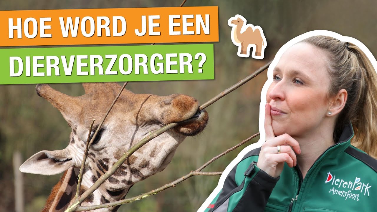 ZO WORD JE DIERVERZORGER IN DE DIERENTUIN! KIJK MEE ACHTER DE SCHERMEN 🤩🦒| Carlijns Dierenvraag #29
