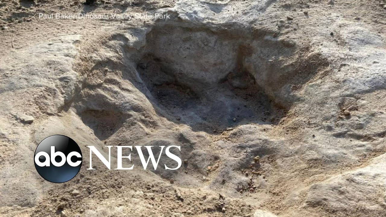 Historic drought reveals dinosaur tracks in Texas riverbed
