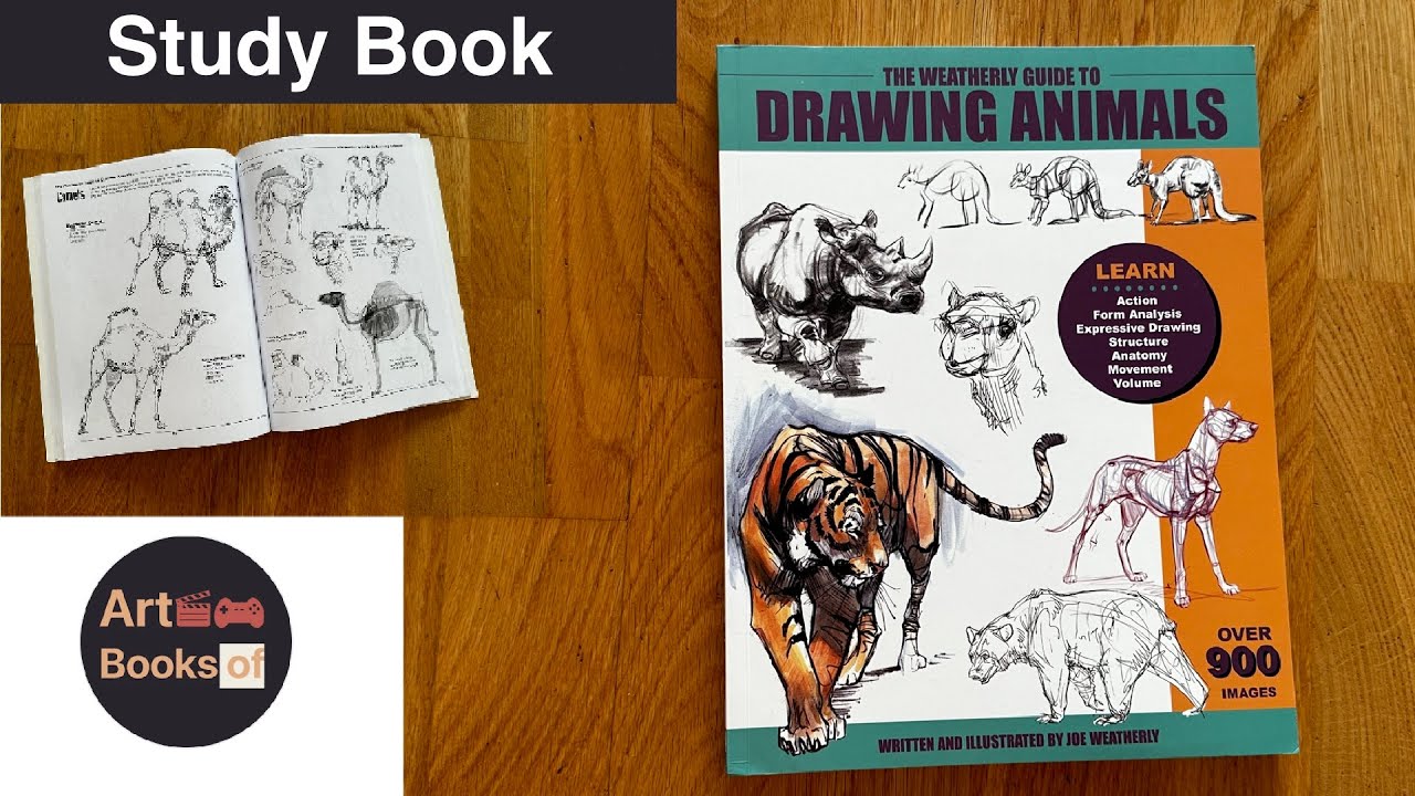 The Guide To Drawing animals - PageFlip