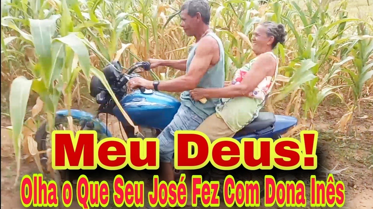Olha o Que o Boi Fez Com Seu José, Meu Deus! Olha o Que Bode Fez Com Dona Inês 😂