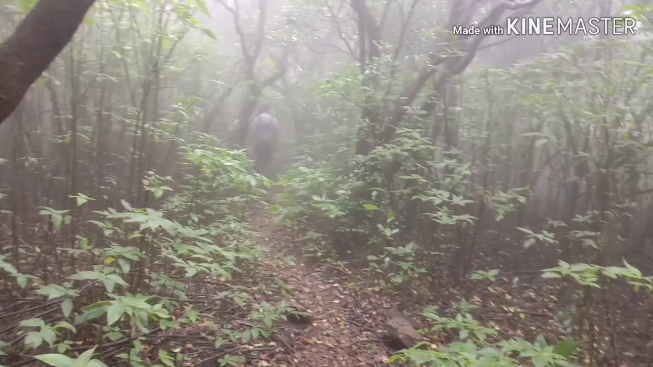 tracking on    भीमाशंकर //Dev. purohit