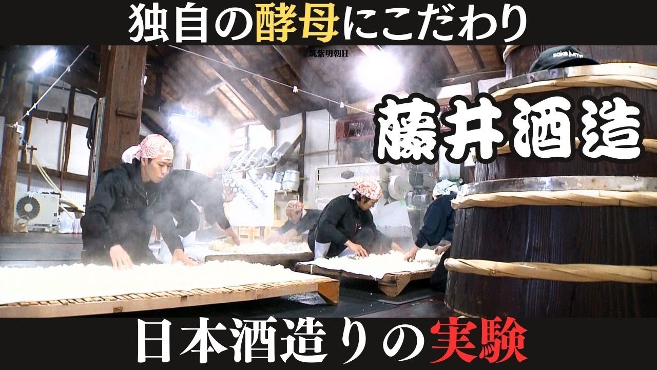老舗酒造がデータで「美味しいを可視化」 蔵に住み着いた酵母で日本酒を