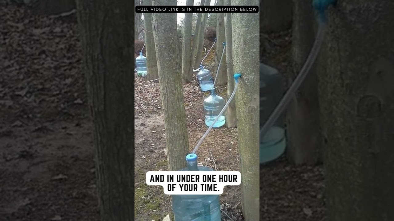 Incredible Device Pulls Water Out Of Thin Air | The Water Freedom System #shorts