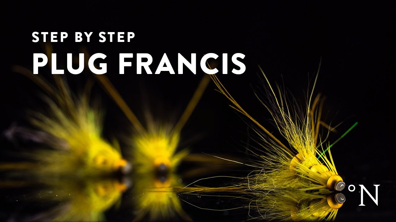 Plug Francis