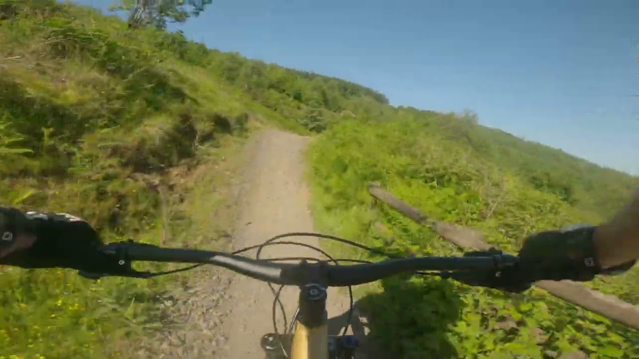 Afan Forest ride 2nd June 2024 Jim crow blue scar X2