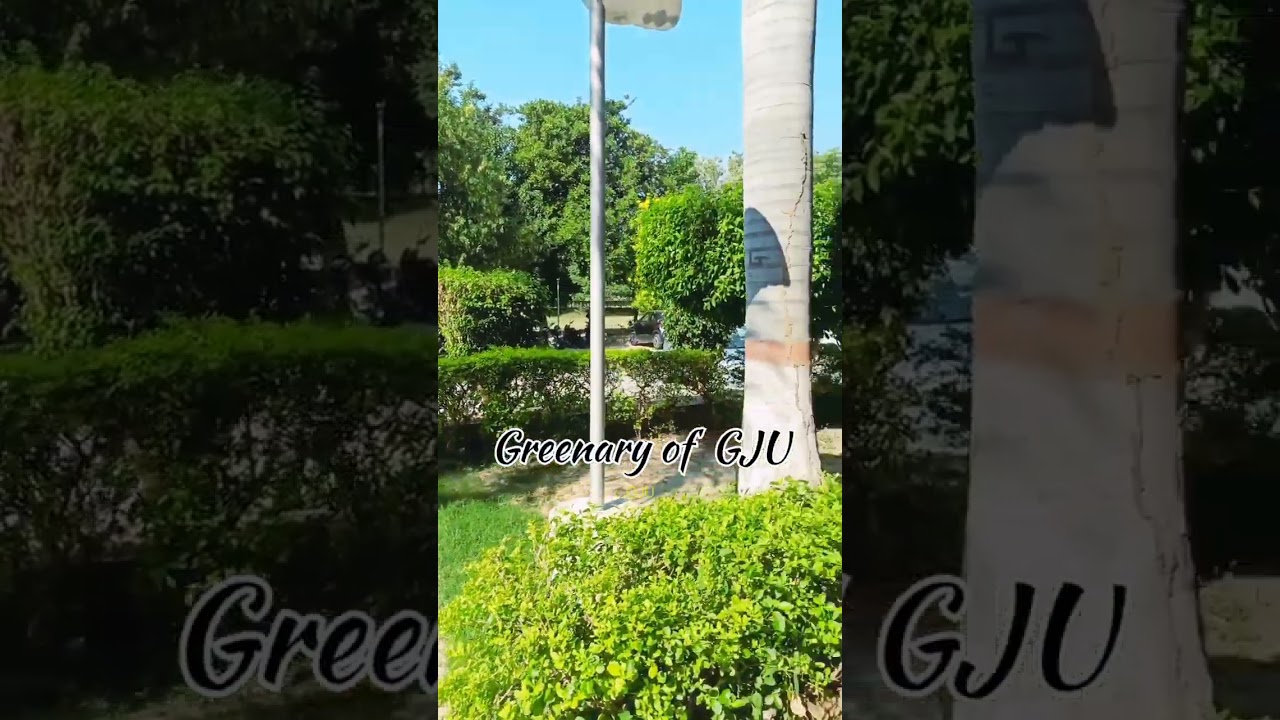 #gju #gjust Guru jambeshwar University of Science and technology