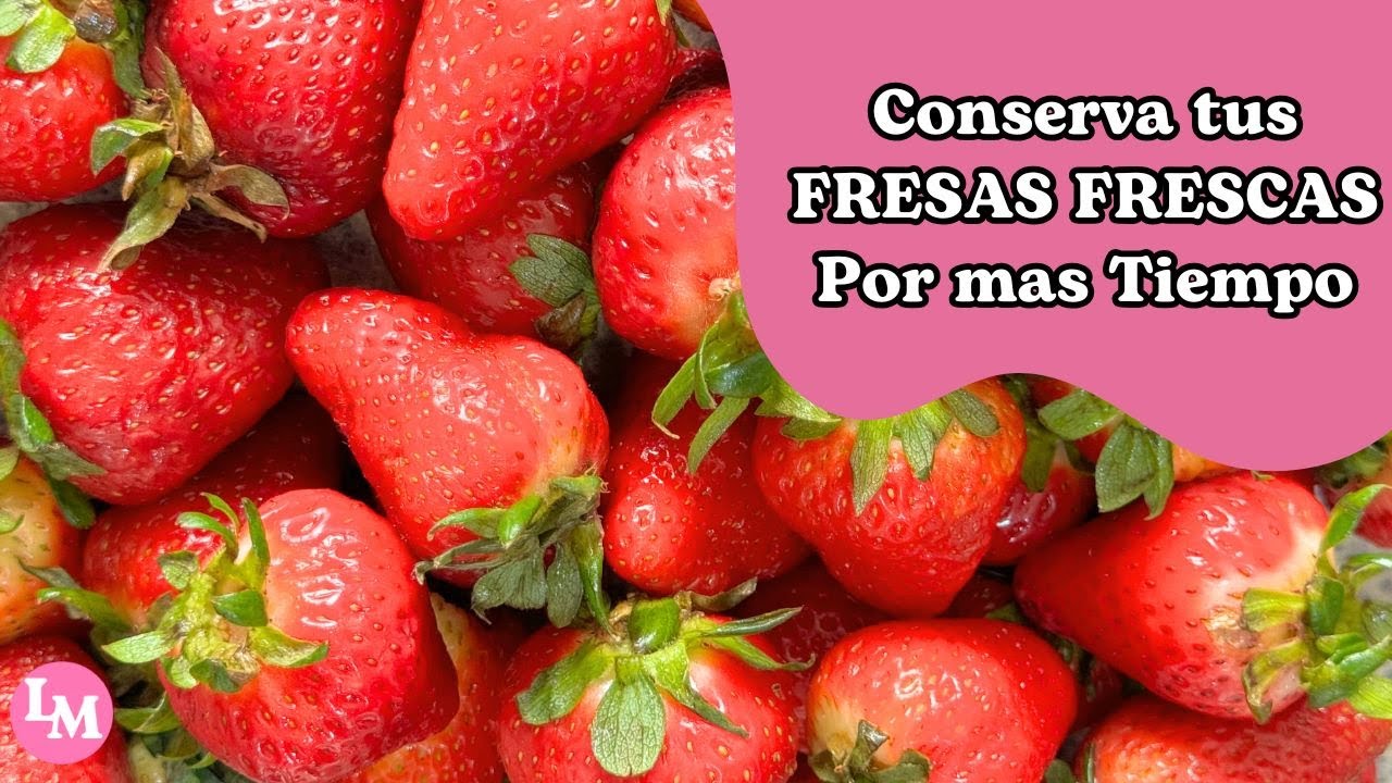 Cómo Conservar FRESAS o FRUTILLAS Frescas por más Tiempo
