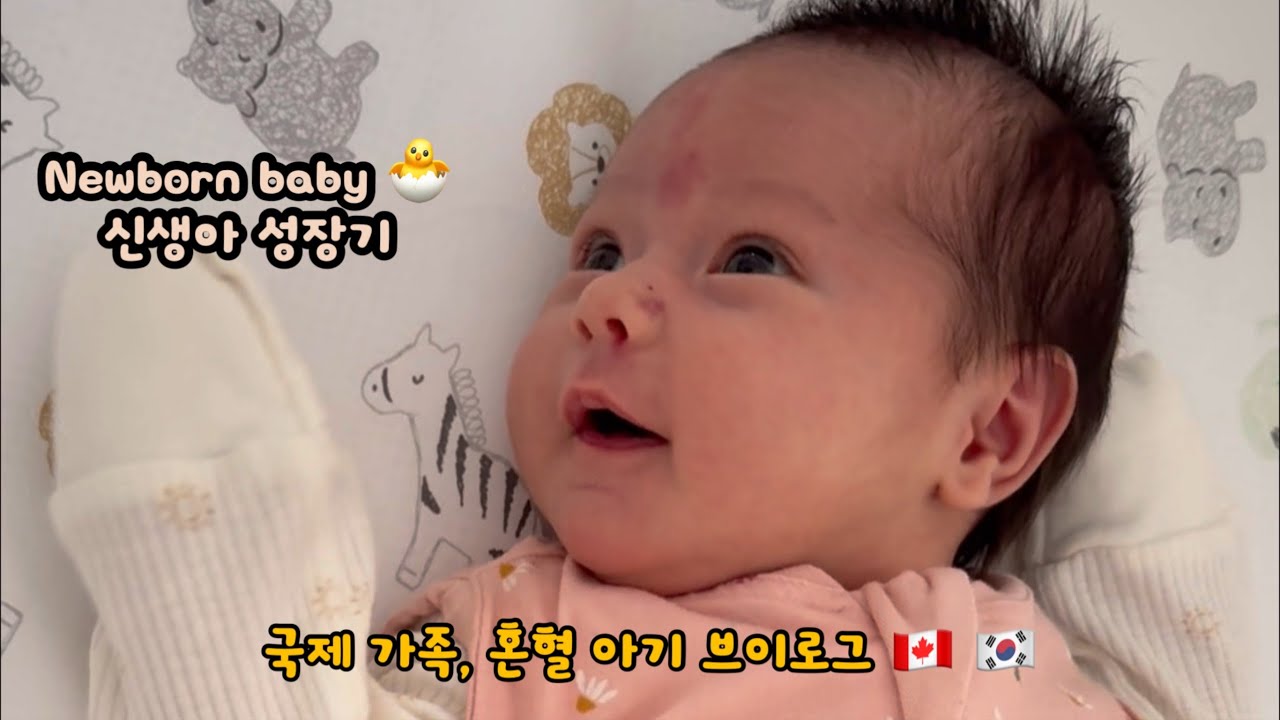 (Eng) 🇨🇦🇰🇷 국제 가족, 오글엄 패밀리를 소개합니다🐣 (Feat. 주인공은 나야 나) | 혼혈아기 브이로그 | 국제커플 육아 일기 | 신생아