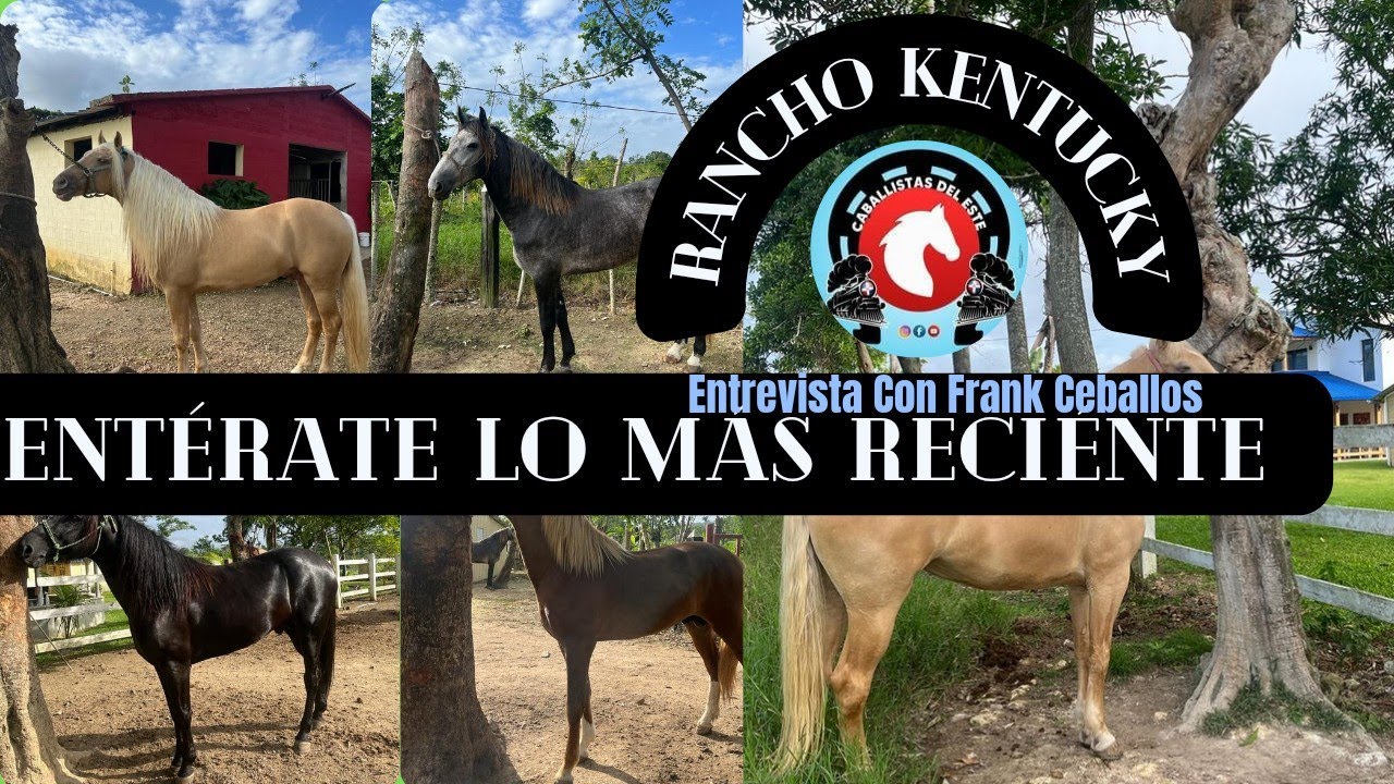FRANK CEBALLOS DEJA CLARA TODAS LAS DUDAS SOBRE ALTANERO Y VENUS D KENT