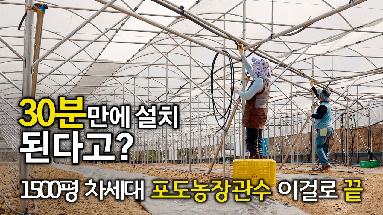 하루작업을 30분으로 줄이는 방법. 포도농장 관수 배관분기 이렇게 했어요. 루퍼젯체험단 Looperget Challenge