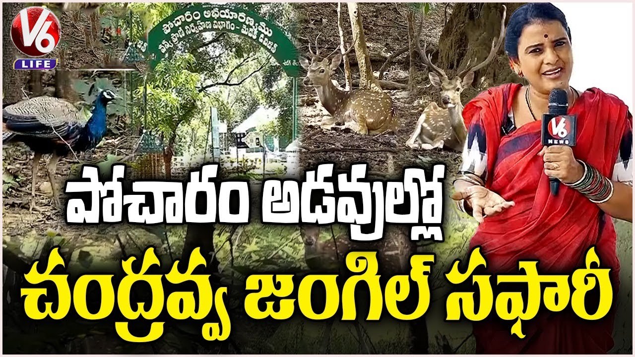 Chandravva in Pocharam Wildlife Sanctuary : Exploring Medak’s Nature Spot  | V6 Life