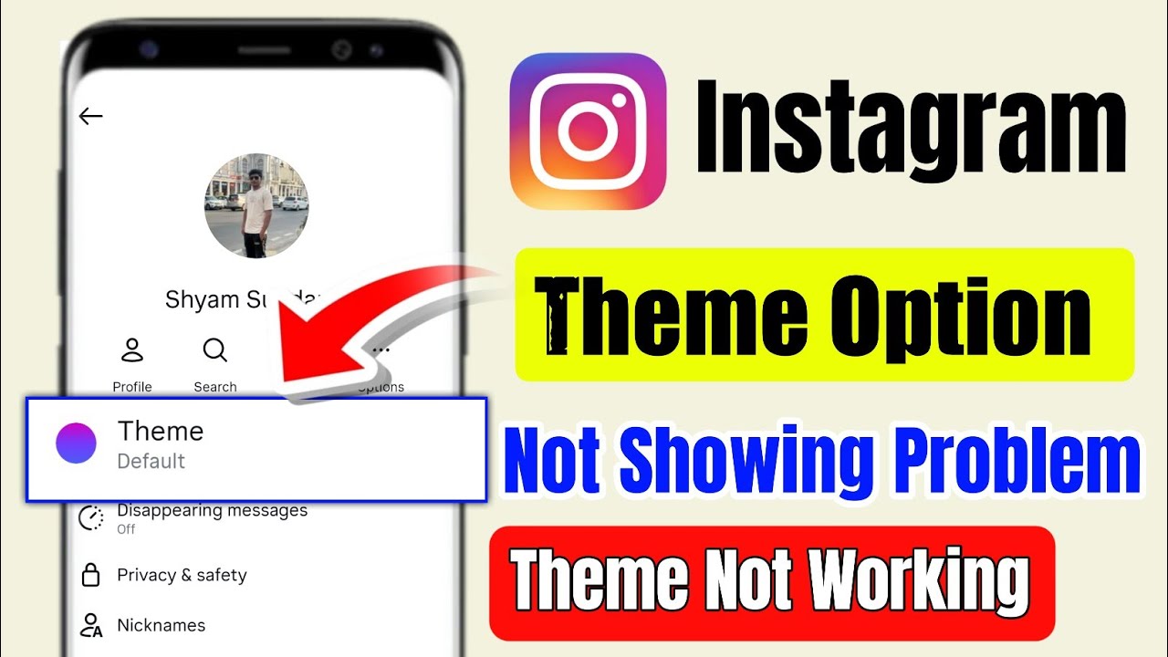 instagram chat theme not showing problem | instagram theme option not showing | insta theme problem