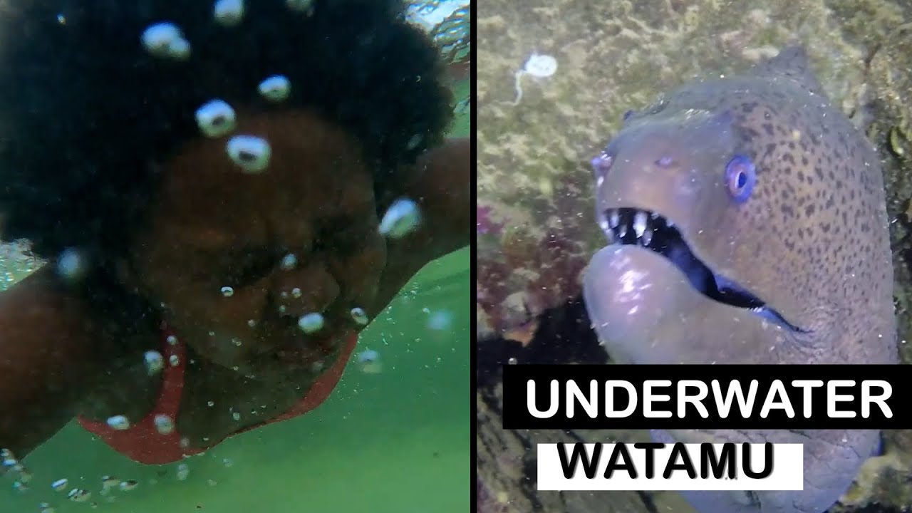 Wonders Of KENYA MARINE PARK, Never seen Underwater Creature & Wakawaka Island TourI Discoveries TV
