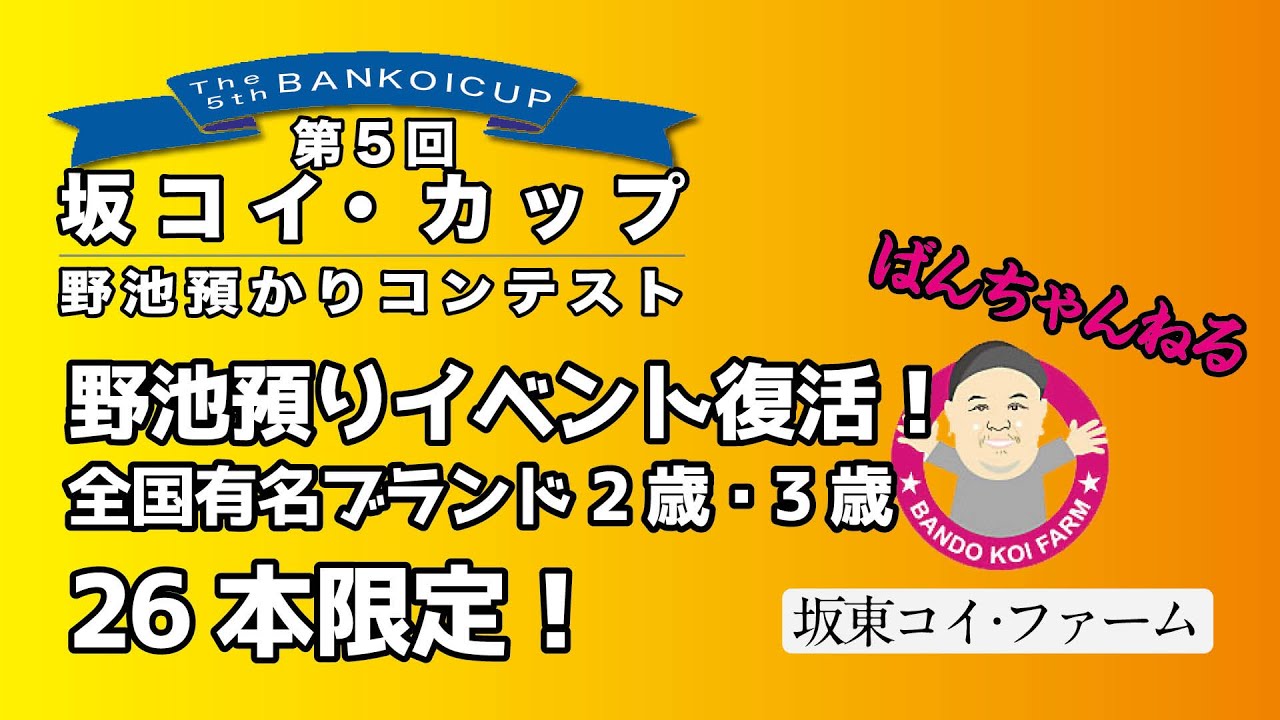 ［坂東コイ・ファーム］ばんちゃんねる　第5回 坂コイ・カップ野池預かりコンテスト　野池イベント復活！全国有名ブランド2歳・3歳26本限定！！　#koi #koifish #錦鯉 #nishikigoi