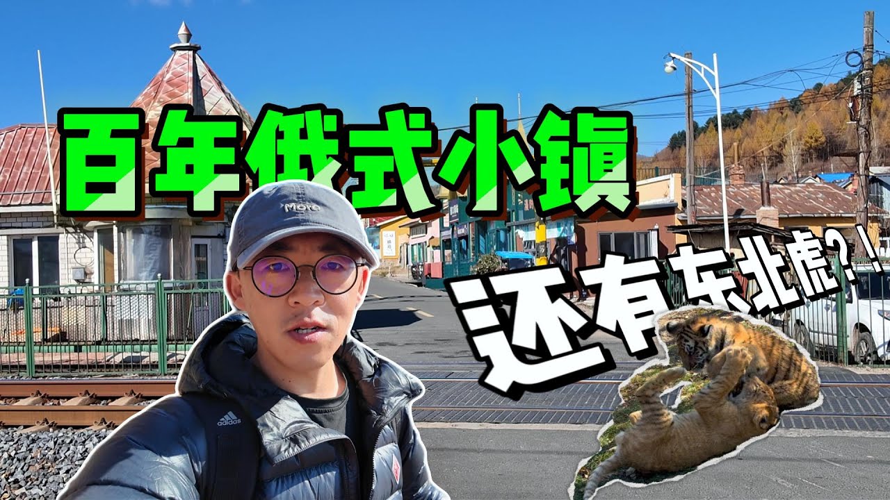 一个人去东北百年俄式小镇旅行，看看东北虎，还误入了中俄学生交流活动