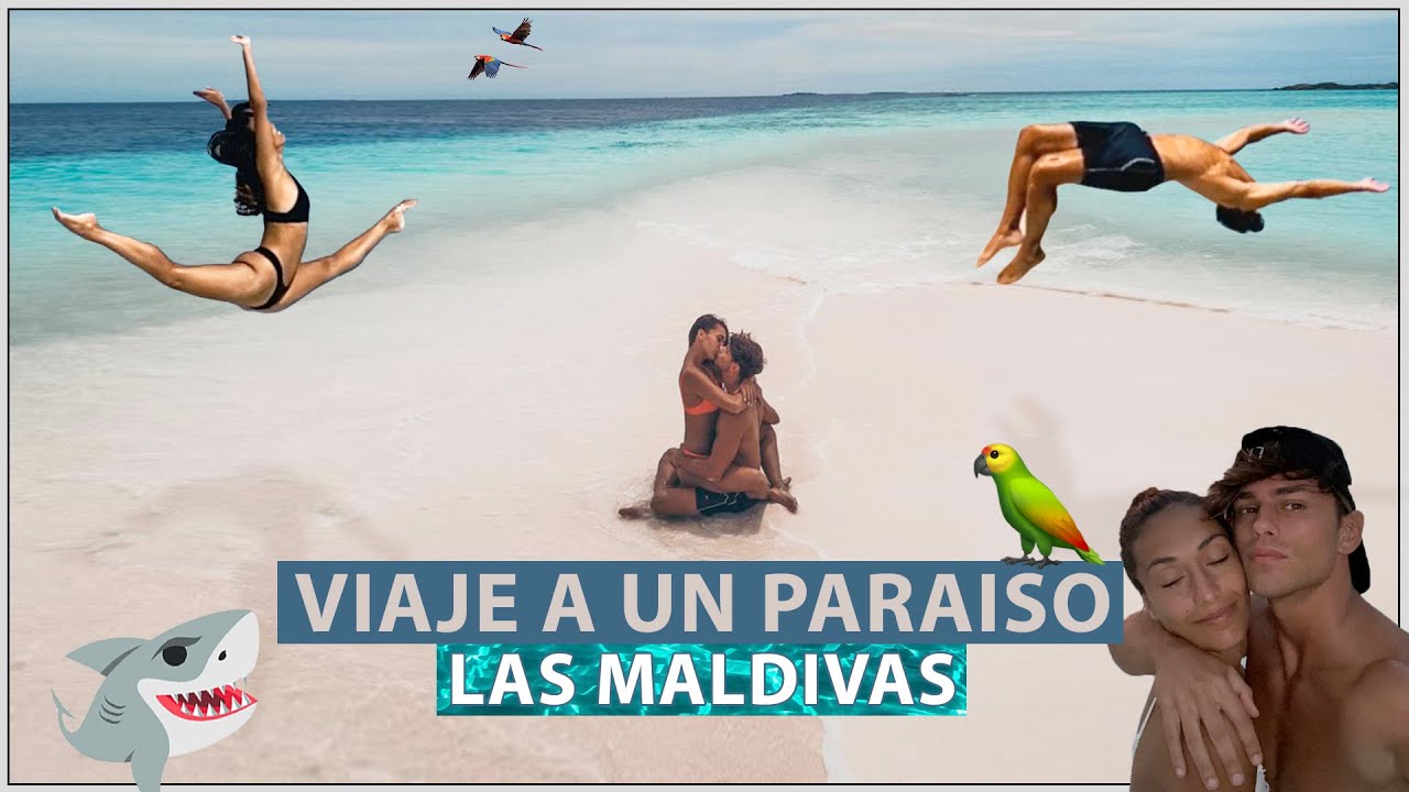 LAS AGUAS *MÁS CRISTALINAS* del MUNDO 🌍 Vemos TIBURONES, MANTAS Y MUCHO MÁS EN MALDIVAS🦈
