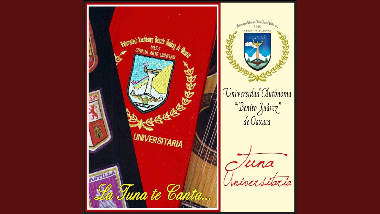 El Bachiller