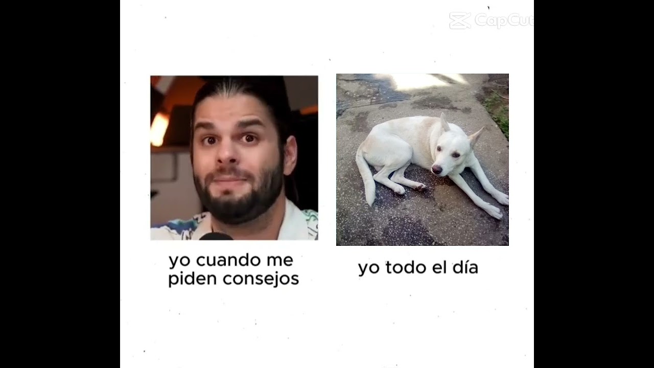 🇻🇪💕