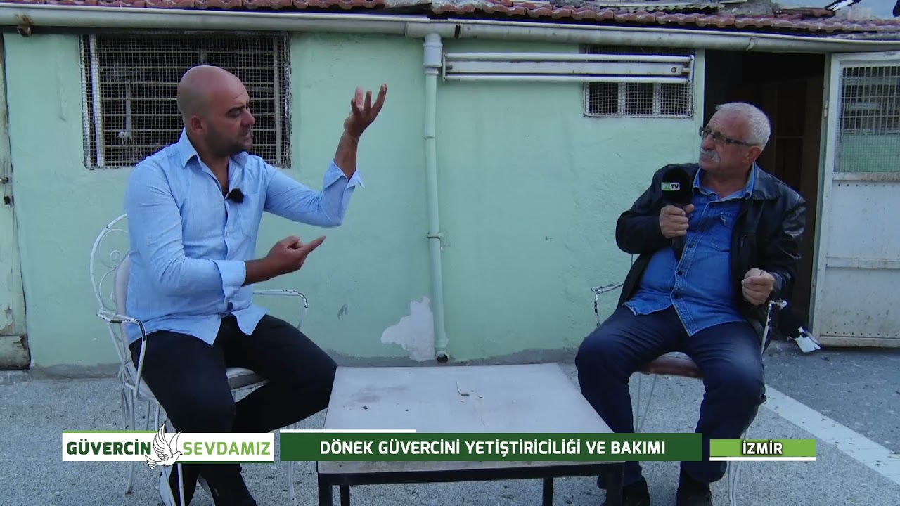 GÜVERCİN SEVDAMIZ - DÖNEK GÜVERCİNİ YETİŞTİRİCİLİĞİ VE BAKIMI