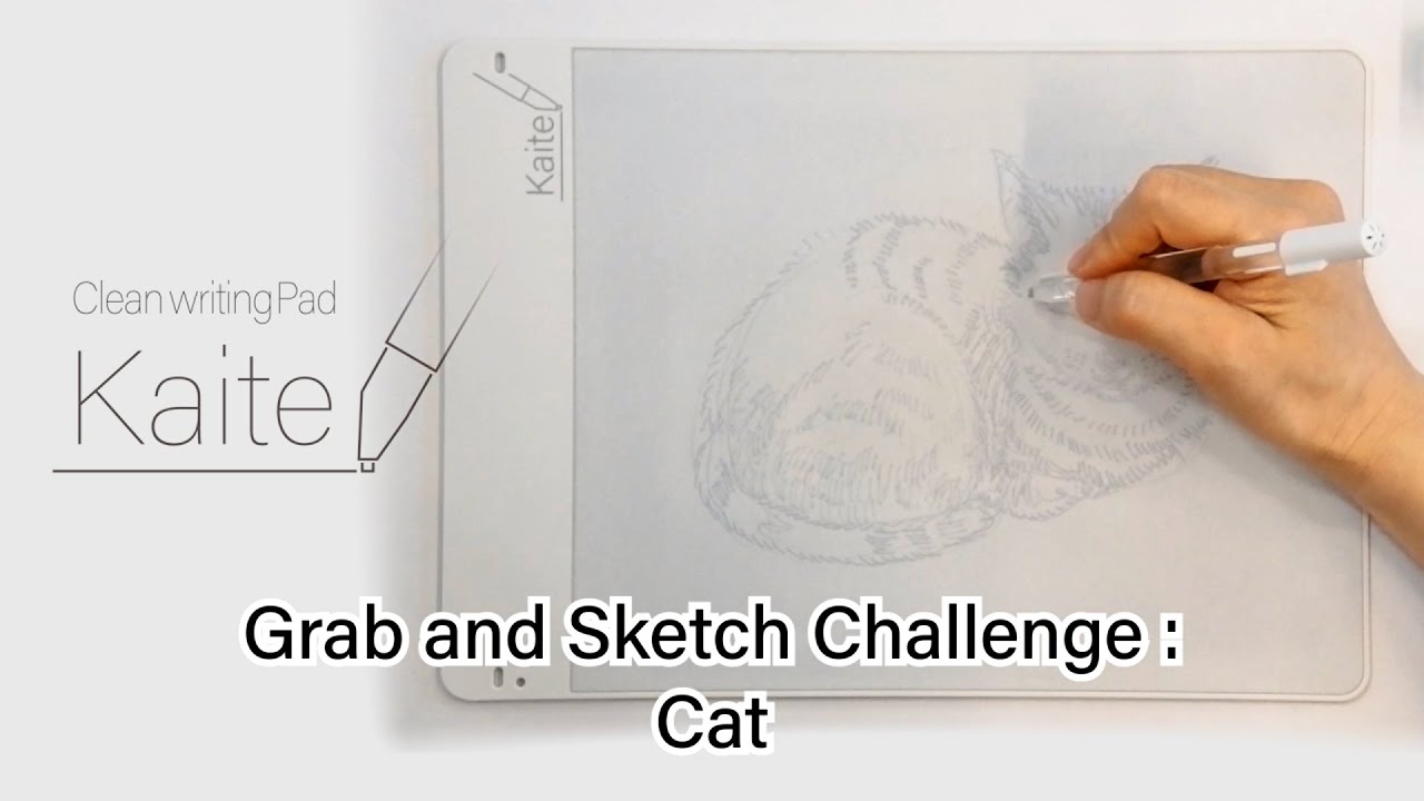 Grab and Sketch Challenge: Cat - Clean writing pad Kaite