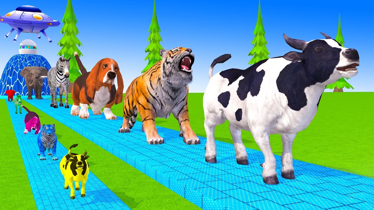 Long Slide Game With Cow Elephant Gorilla Hippopotamus Tiger 3d Animal Game Funny 3d Animals