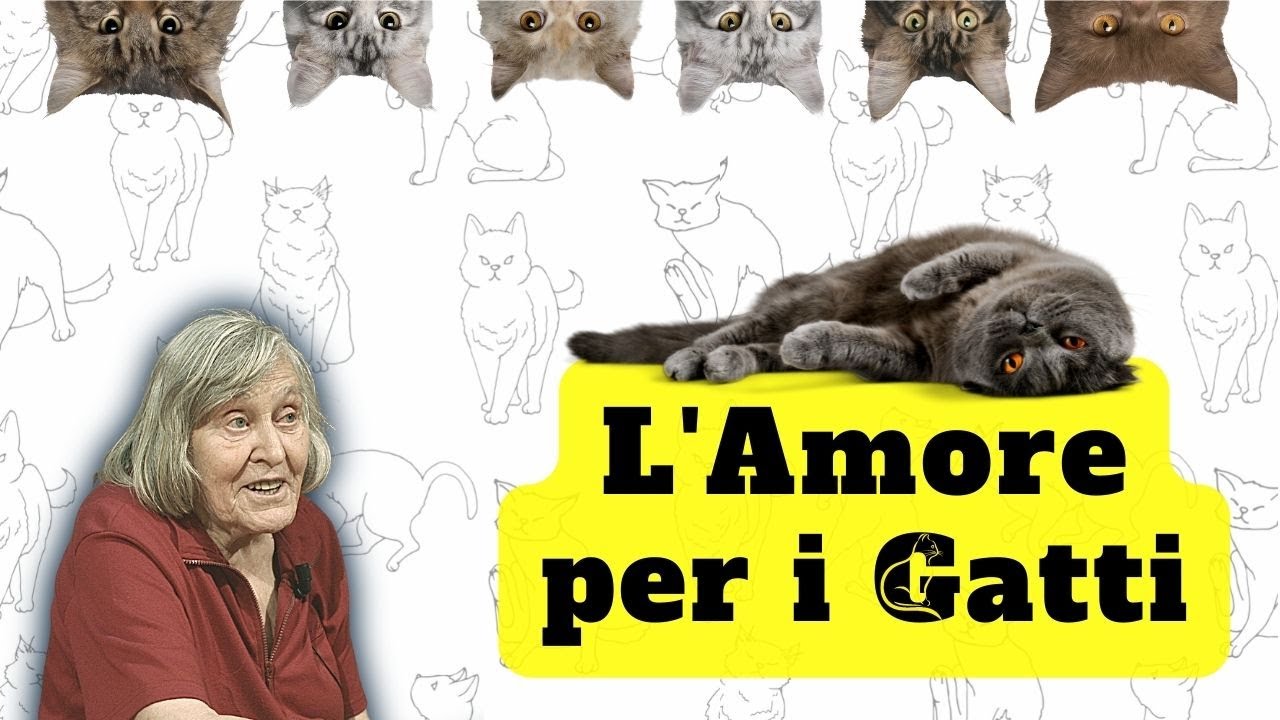 Sotto il segno del gatto - L'amore di Margherita Hack per gli animali