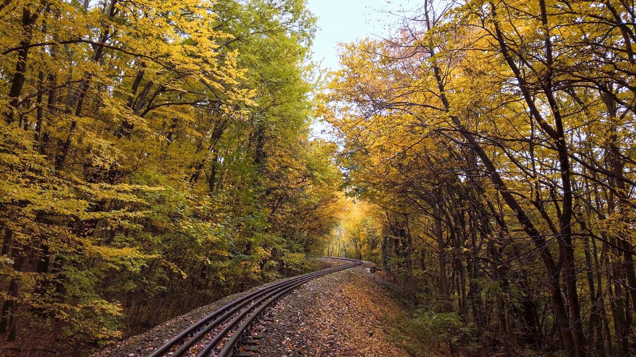 Budapest 4K Walk Autumn through the woods of Hűvösvölgy
