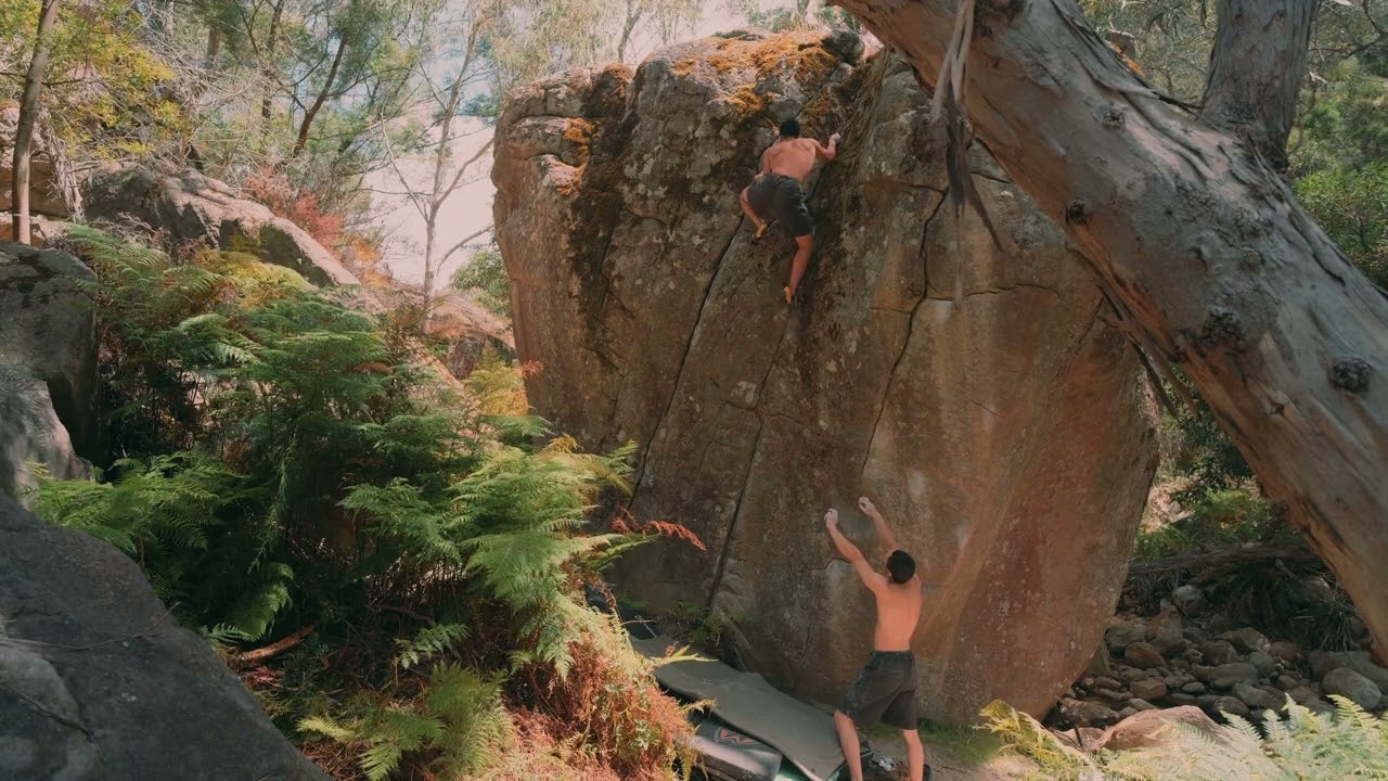 Diversion, V4
